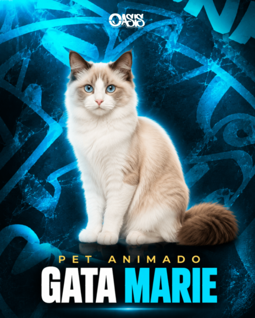 Gata Marie